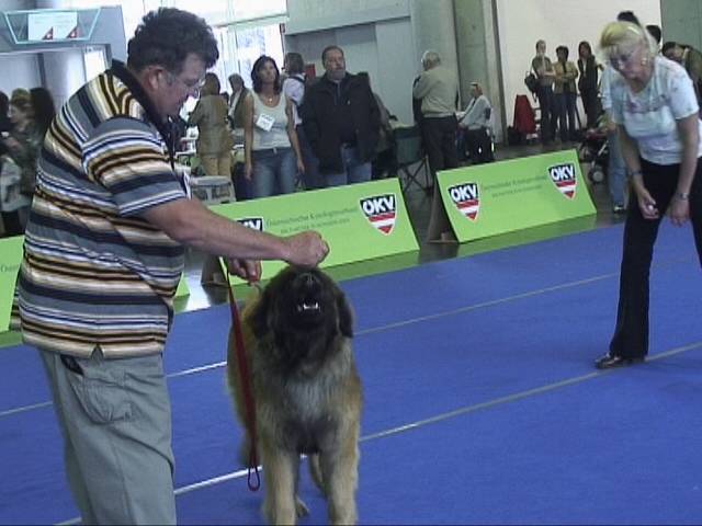 Salzburg Clubschau Mai 06 219 